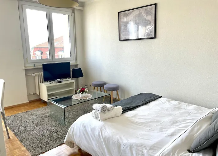 Beautiful Studio 2 Minutes From Lausanne Train Station